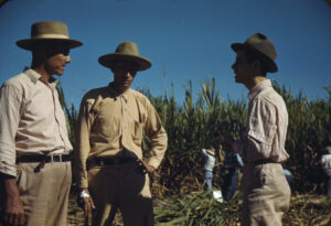 Sugar cane worker and his woman, Rio Piedras, Puerto Rico. Jack Delano. Dec. 1941. Call Number: LC-USF35-381 [P&P]